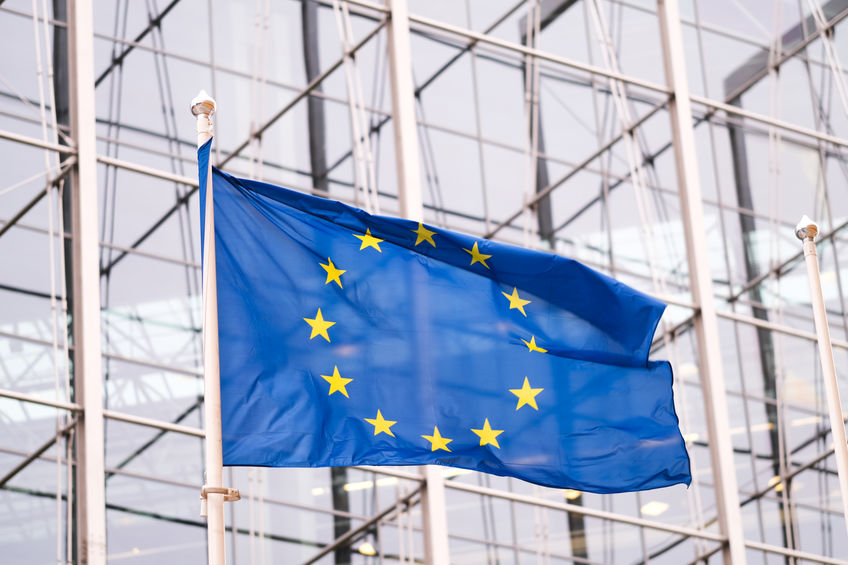 Bandiera Europea