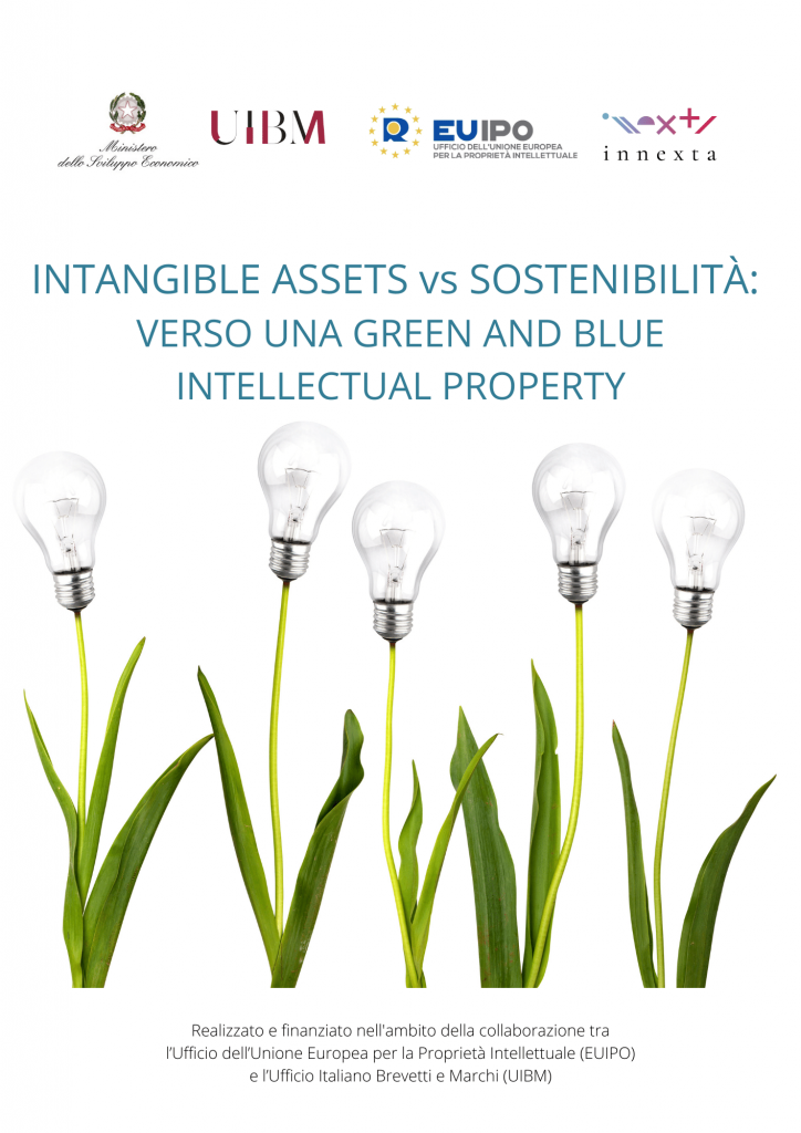 Copertina_greenblue-IP-724x1024 Copetina pubblicazione Intangible assets vs sostenibilità